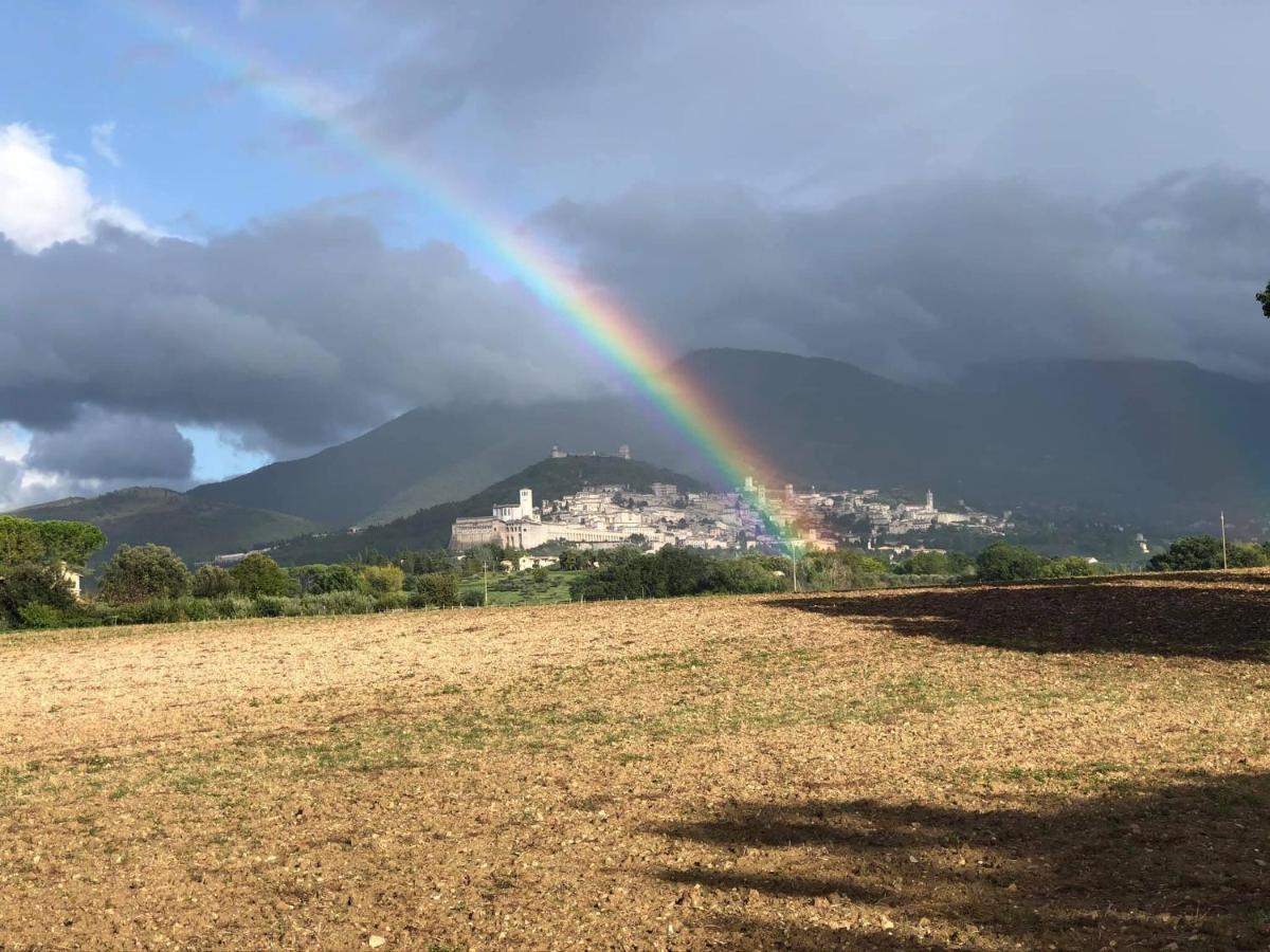 阿西西Da Marzietta别墅 外观 照片